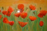 Klatschmohn an Weg