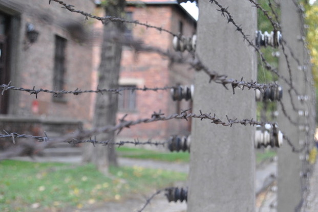 auschwitz draht