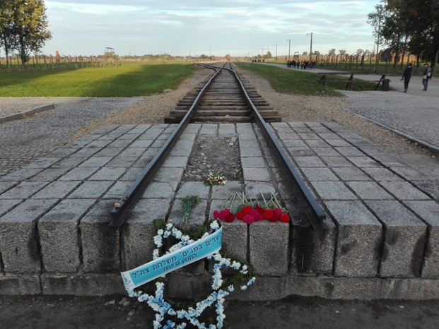 auschwitz schienen